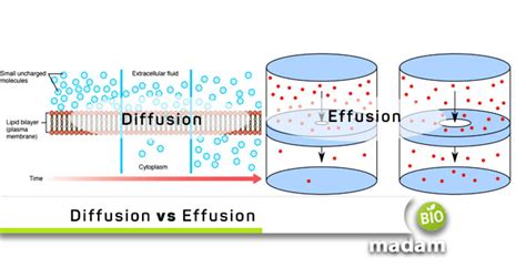 difference between diffusion lines.